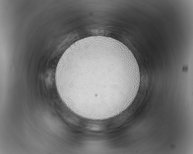 X0000114220671200911201047
