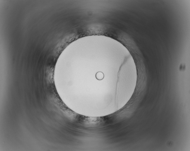 X0000114220672200911201047