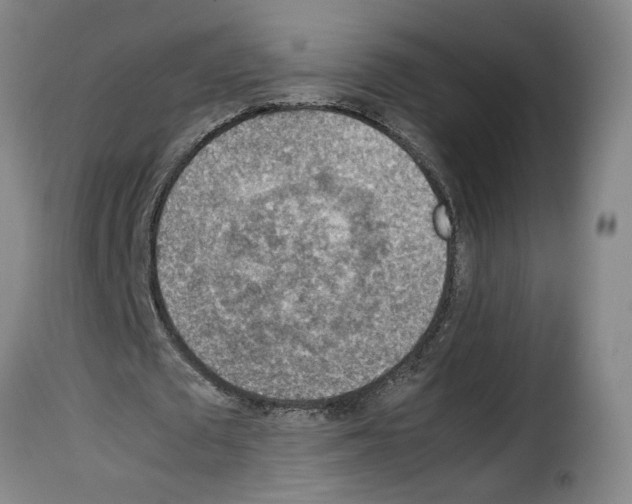 X0000114220673200911201046