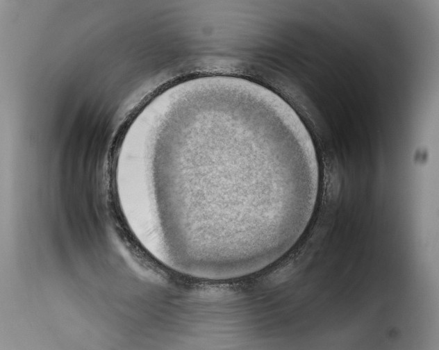 X0000114220674200911201046