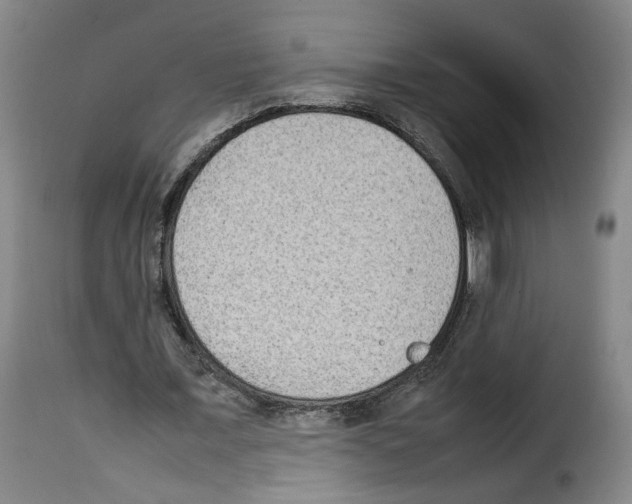 X0000114220675200911201046