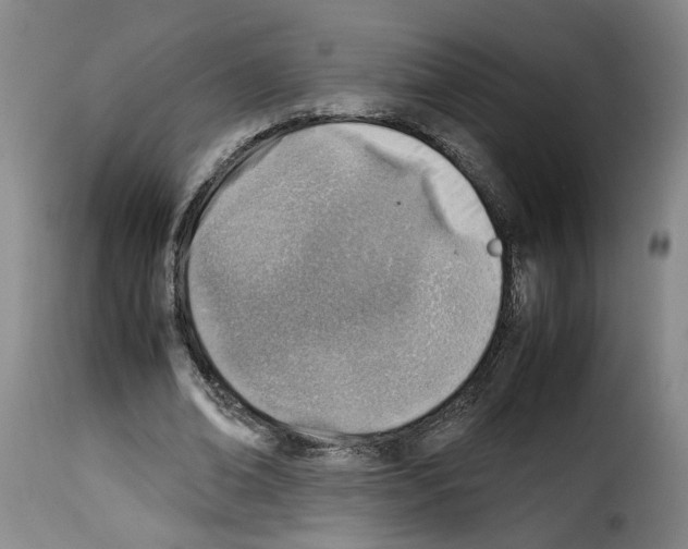 X0000114220678200911201046
