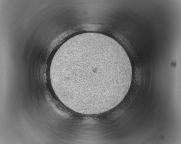 X0000114220682200911201046