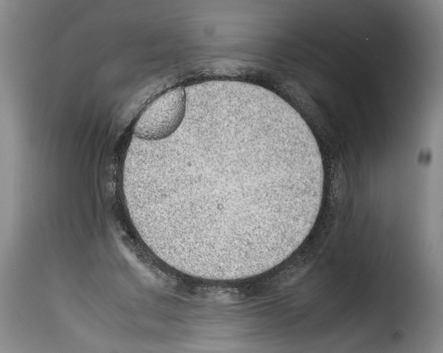 X0000114220683200911201046