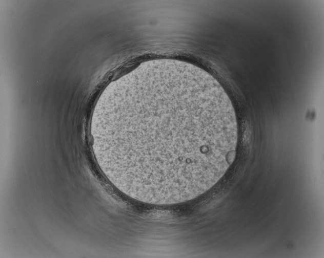 X0000114220685200911201046