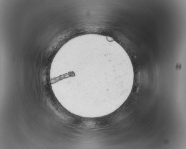 X0000114220687200911201046