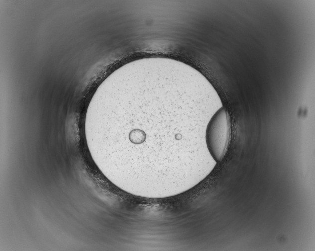 X0000114220688200911201046