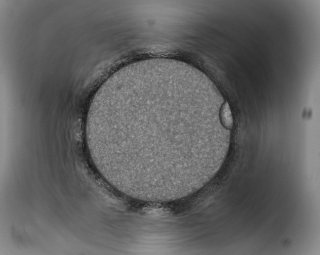X0000114220689200911201046