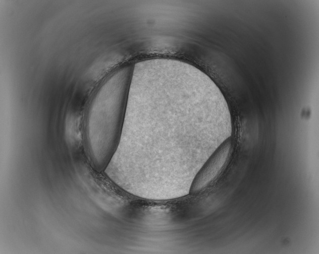 X0000114220692200911201046