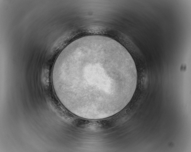X0000114220696200911201046