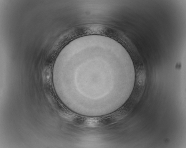 X0000114220701200911201046