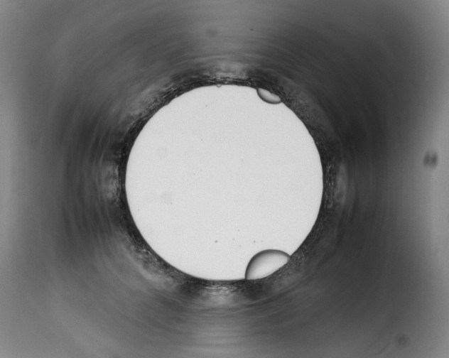 X0000114220704200911201046