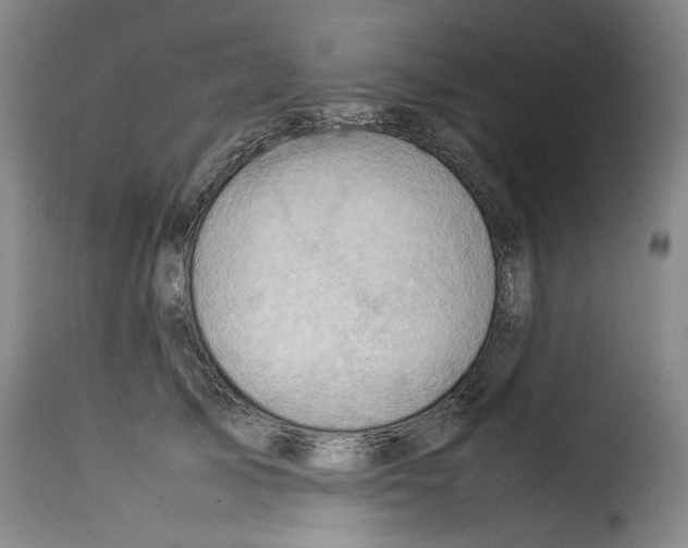 X0000114220705200911201046