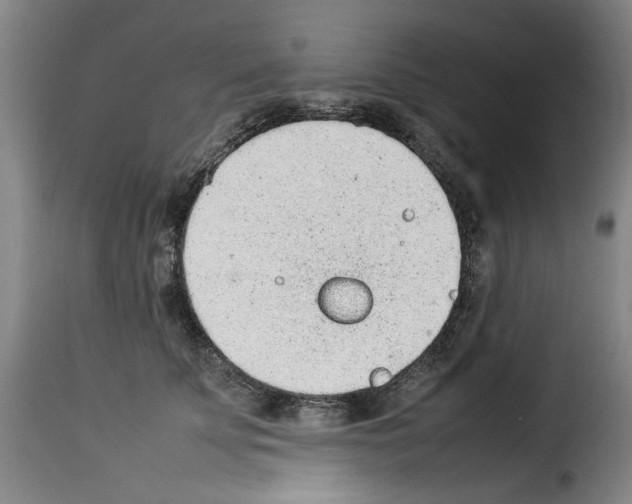 X0000114220707200911201046