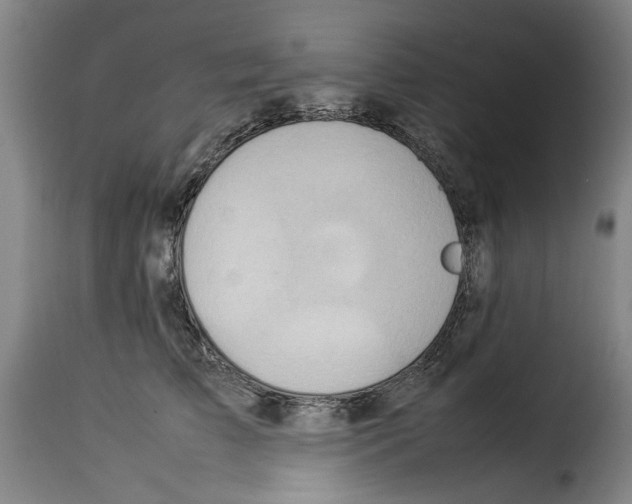 X0000114220709200911201046