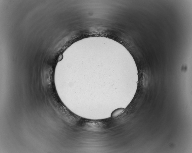 X0000114220712200911201046