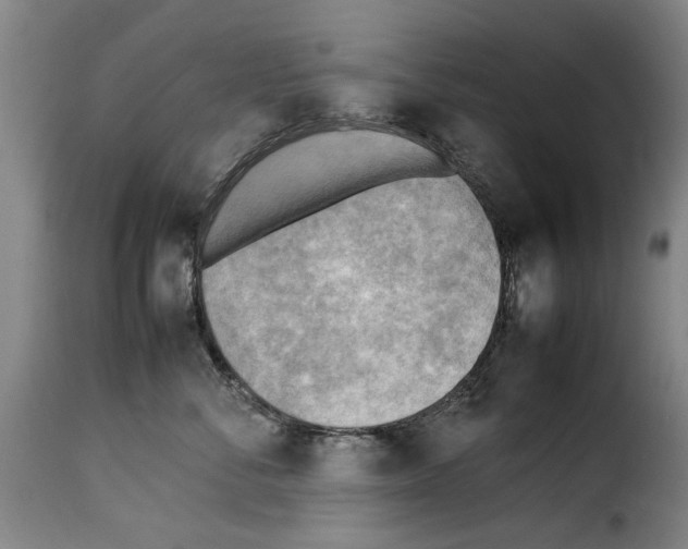 X0000114220716200911201046
