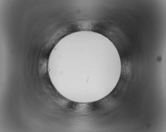 X0000114220717200911201046