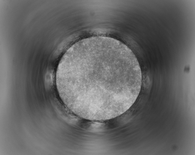 X0000114220718200911201046