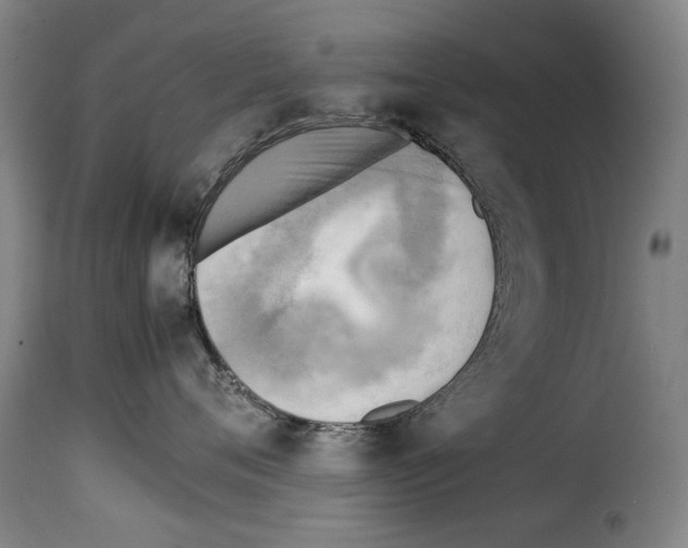X0000114220720200911201046