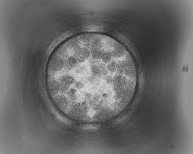 X0000114220721200911201045