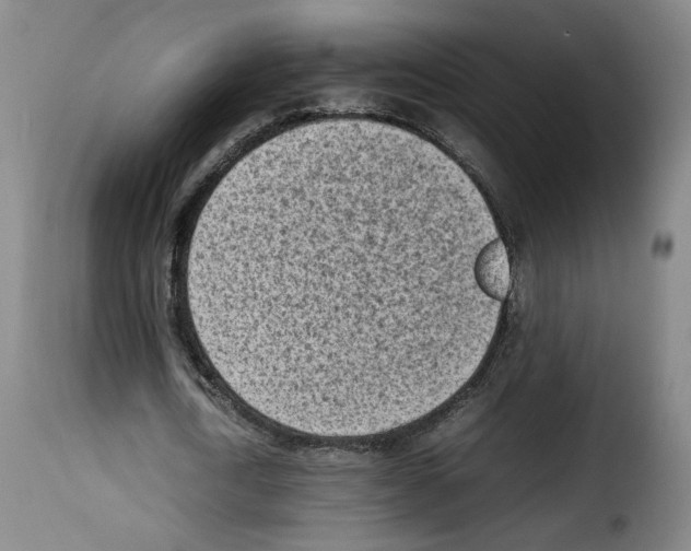 X0000114220722200911201045