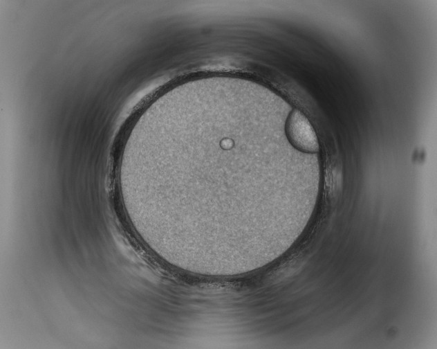 X0000114220724200911201045
