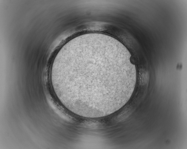 X0000114220726200911201045