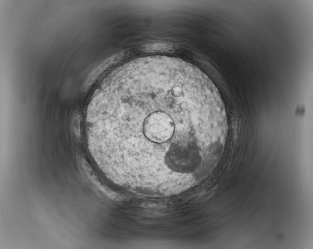 X0000114220729200911201045