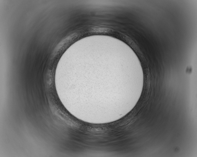 X0000114220731200911201045
