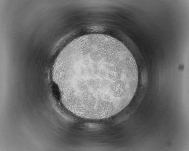 X0000114220733200911201045
