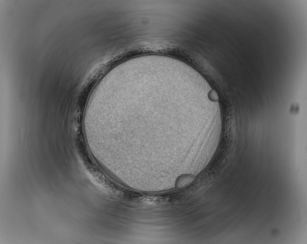 X0000114220736200911201045
