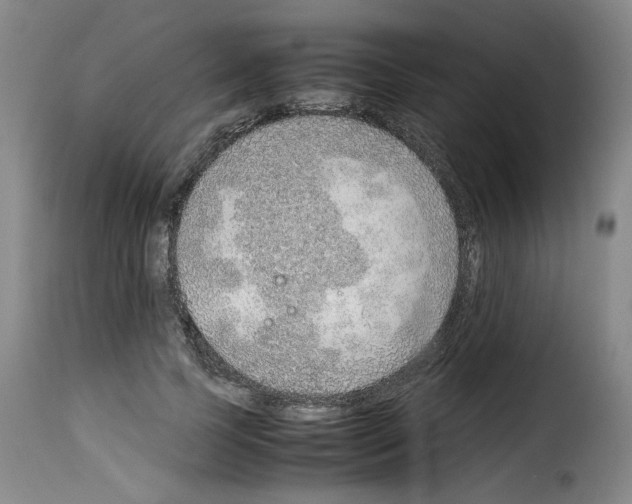 X0000114220745200911201045