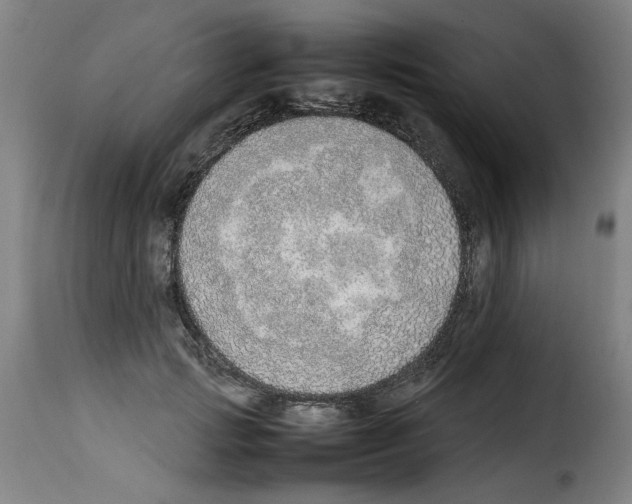X0000114220749200911201045