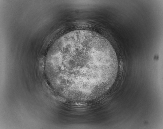 X0000114220753200911201045