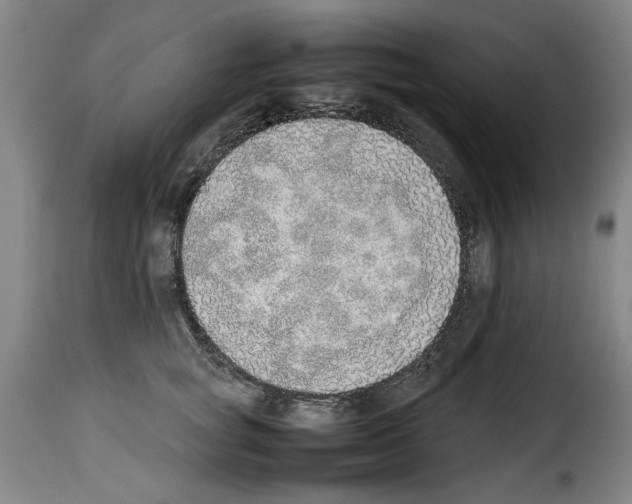 X0000114220757200911201045