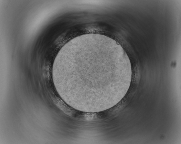 X0000114220762200911201046