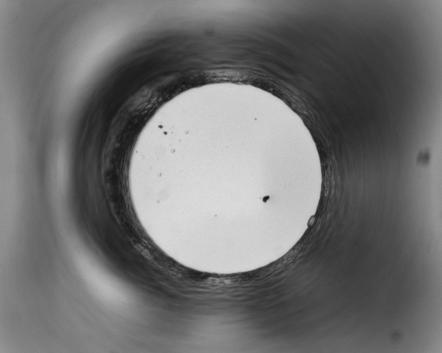 X0000114220764200911201046