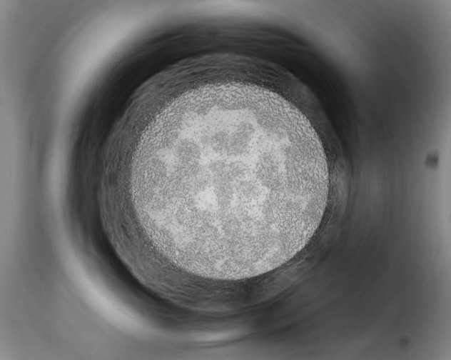 X0000114220765200911201046