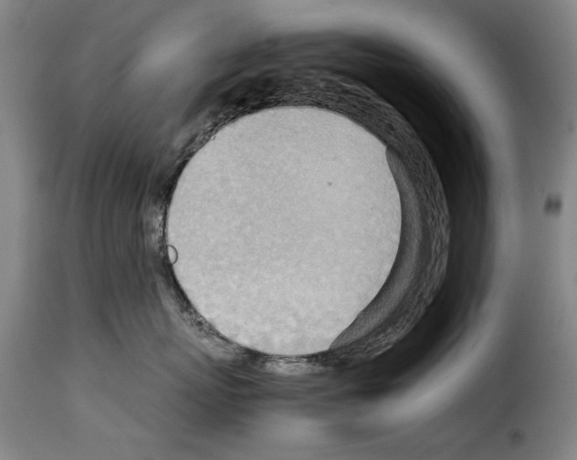 X0000114220767200911201046