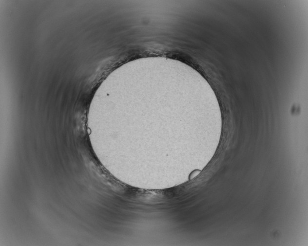 X0000114220768200911201046