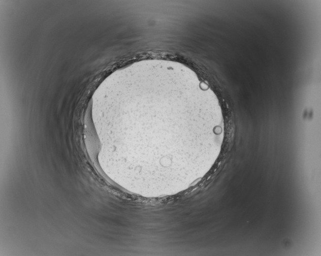 X0000114220769200911201045