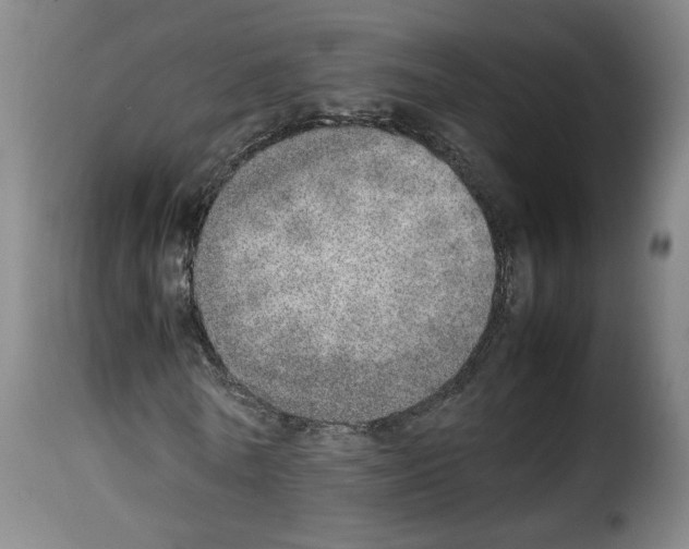X0000114220770200911201045