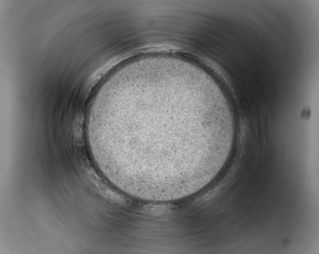 X0000114220778200911201045