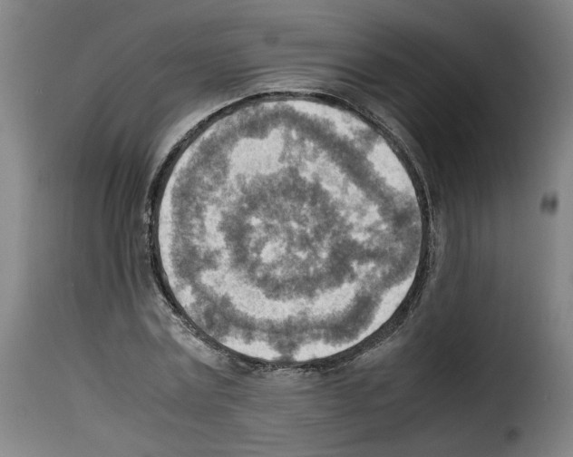 X0000114220779200911201045