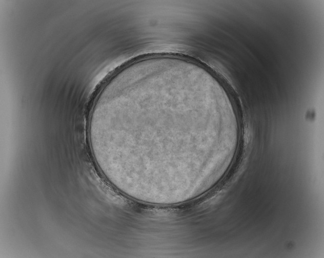 X0000114220781200911201045