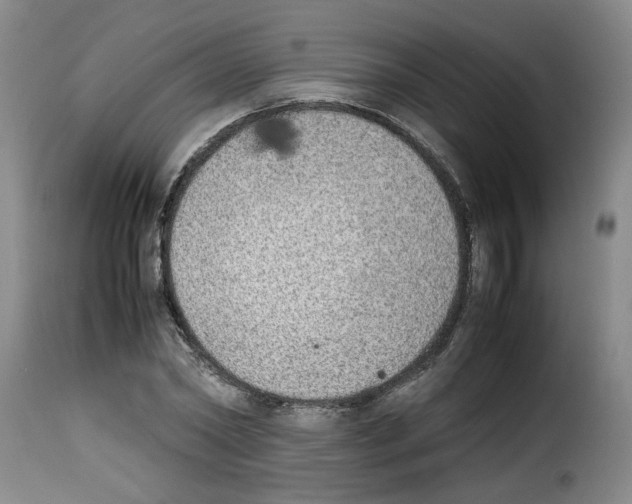 X0000114220782200911201045