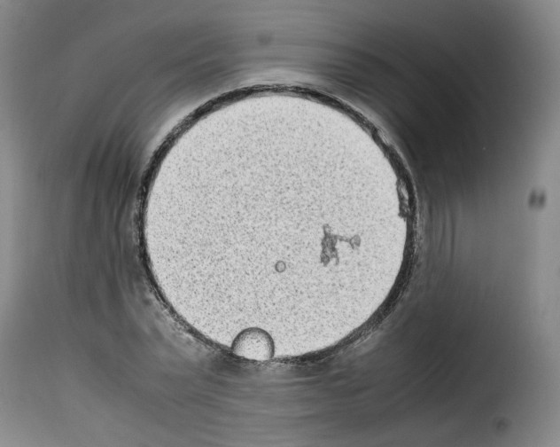 X0000114220783200911201045