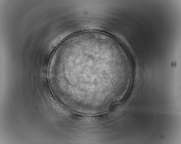 X0000114220785200911201045