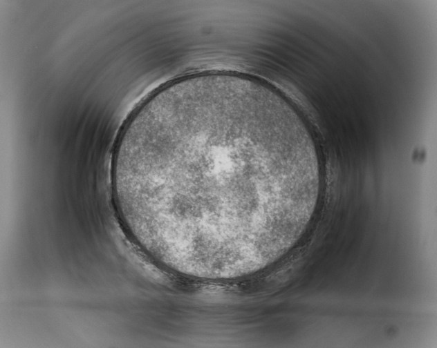 X0000114220790200911201045